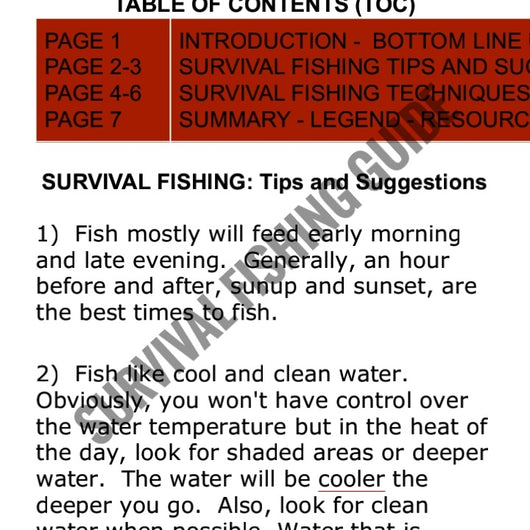 Guide To Survival Fishing: Techniques And Tips